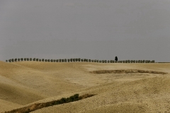 toscana1